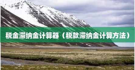 税金滞纳金计算器（税款滞纳金计算方法）