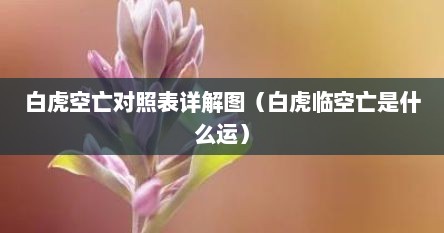 白虎空亡对照表详解图（白虎临空亡是什么运）