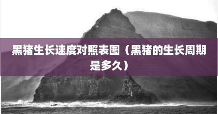 黑猪生长速度对照表图（黑猪的生长周期是多久）