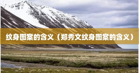 纹身图案的含义（郑秀文纹身图案的含义）