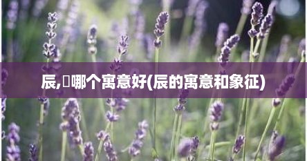 辰,莀哪个寓意好(辰的寓意和象征)