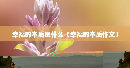幸福的本质是什么（幸福的本质作文）
