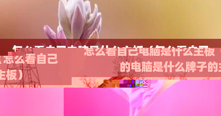 怎么看自己电脑用什么主板（怎么看自己电脑的主板是什么品牌）