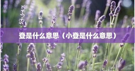 登是什么意思（小登是什么意思）
