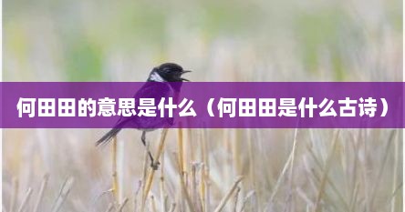 何田田的意思是什么（何田田是什么古诗）