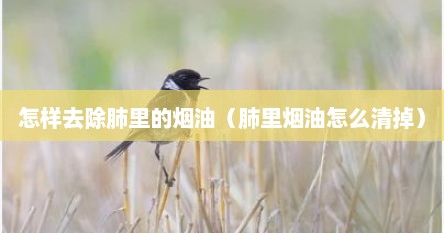 怎样去除肺里的烟油（肺里烟油怎么清掉）