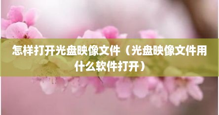 怎样打开光盘映像文件（光盘映像文件用什么软件打开）