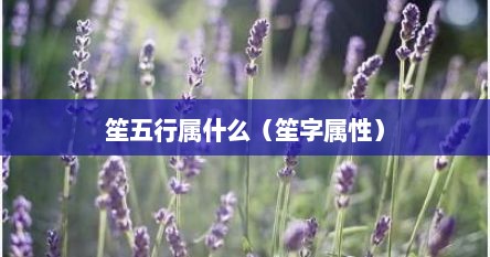 笙五行属什么（笙字属性）