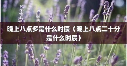 晚上八点多是什么时辰（晚上八点二十分是什么时辰）