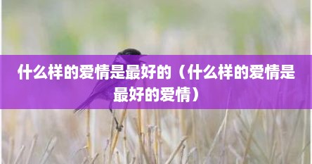 什么样的爱情是最好的（什么样的爱情是最好的爱情）