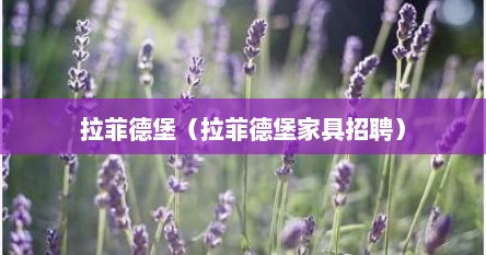 拉菲德堡（拉菲德堡家具招聘）