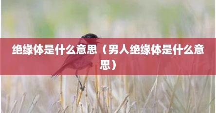 绝缘体是什么意思（男人绝缘体是什么意思）
