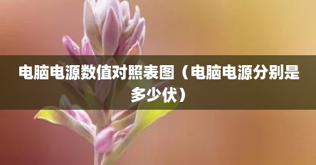 电脑电源数值对照表图（电脑电源分别是多少伏）