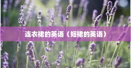 连衣裙的英语（短裙的英语）