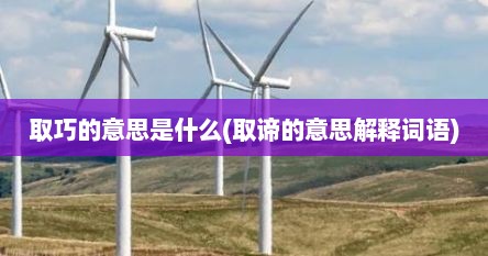 取巧的意思是什么(取谛的意思解释词语)