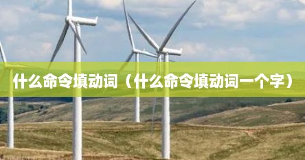 什么命令填动词（什么命令填动词一个字）