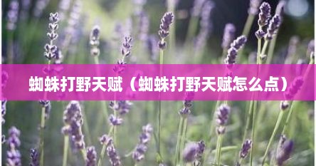 蜘蛛打野技能加点（蜘蛛打野天赋s10最新）