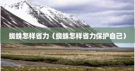 蜘蛛怎样省力（蜘蛛怎样省力保护自己）