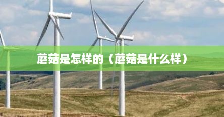 蘑菇是怎样的（蘑菇是什么样）
