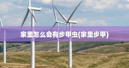 家里怎么会有步甲虫(家里步甲)