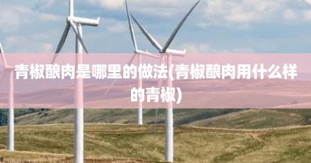 青椒酿肉是哪里的做法(青椒酿肉用什么样的青椒)