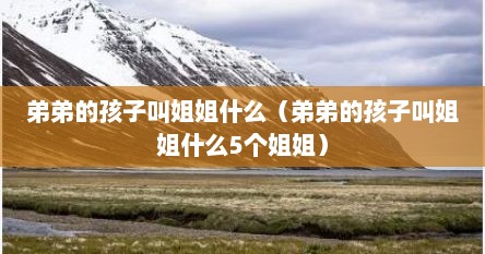 弟弟的孩子叫姐姐什么（弟弟的孩子叫姐姐什么5个姐姐）