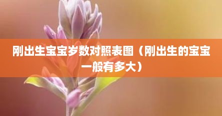 刚出生宝宝岁数对照表图（刚出生的宝宝一般有多大）