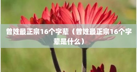 曾姓最正宗16个字辈（曾姓最正宗16个字辈是什么）
