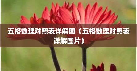 五格数理对照表详解图（五格数理对照表详解图片）