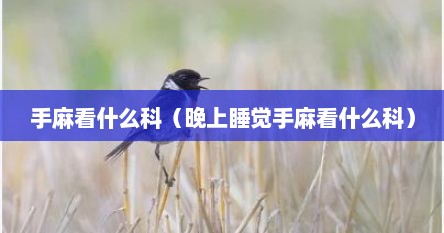 手麻看什么科（晚上睡觉手麻看什么科）