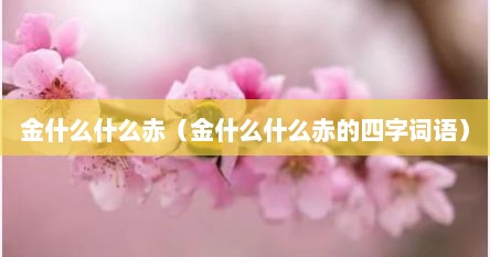 金什么什么赤（金什么什么赤的四字词语）
