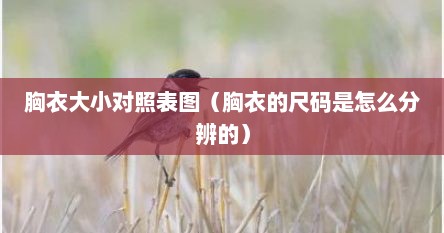 胸衣大小对照表图（胸衣的尺码是怎么分辨的）