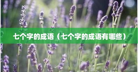 七个字的成语有哪些一年级（七个字成语有哪些呢）