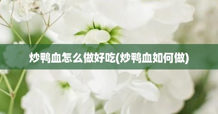 炒鸭血怎么做好吃(炒鸭血如何做)