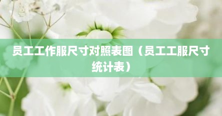员工工作服尺寸对照表图（员工工服尺寸统计表）