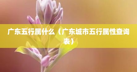 广东五行属什么（广东城市五行属性查询表）