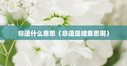 非遗什么意思（非遗是啥意思啊）