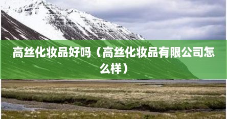 高丝化妆品好吗（高丝化妆品有限公司怎么样）