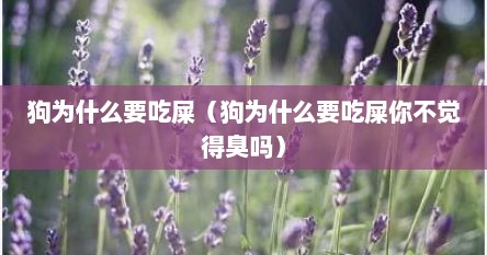 狗为什么要吃屎（狗为什么要吃屎你不觉得臭吗）