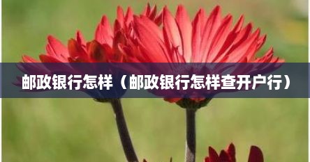 邮政银行怎样（邮政银行怎样查开户行）