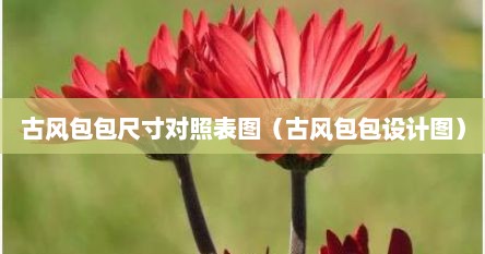 古风包包尺寸对照表图（古风包包设计图）