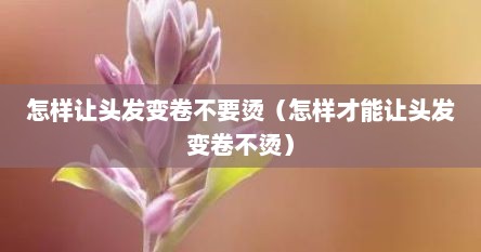 怎样让头发变卷不要烫（怎样才能让头发变卷不烫）