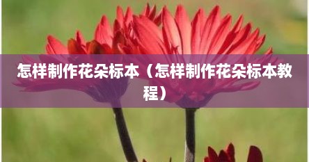 怎样制作花朵标本（怎样制作花朵标本教程）