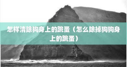 怎样清除狗身上的跳蚤（怎么除掉狗狗身上的跳蚤）