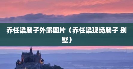 乔任梁肠子外露图片（乔任梁现场肠子 别墅）