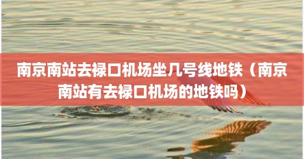 南京南站去禄口机场坐几号线地铁（南京南站有去禄口机场的地铁吗）