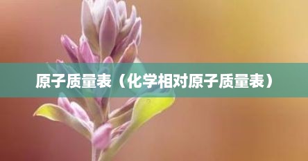原子质量表（化学相对原子质量表）