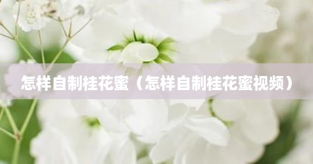 怎样自制桂花蜜（怎样自制桂花蜜视频）