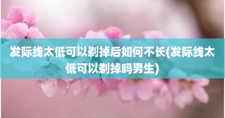 发际线太低可以剃掉后如何不长(发际线太低可以剃掉吗男生)
