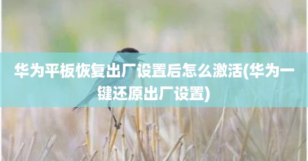 华为平板恢复出厂设置后怎么激活(华为一键还原出厂设置)